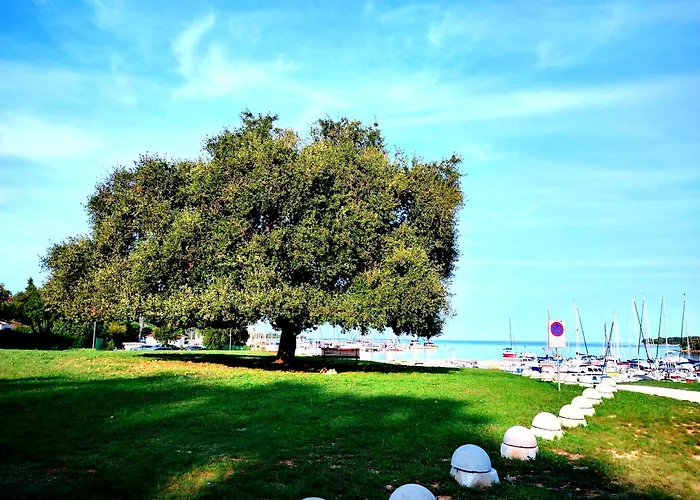 Premium Eden * Porec