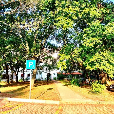 Premium Eden Apartment *